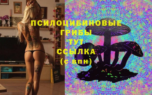 каннабис Заводоуковск