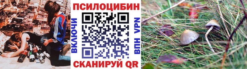 Галлюциногенные грибы прущие грибы  Купить  Губкинский 